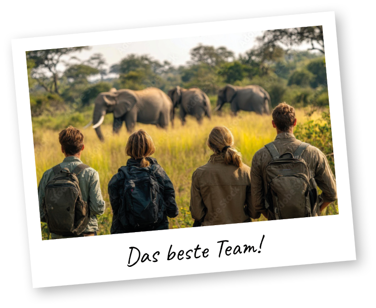 Polaroid mit vier Personen, die Elefanten beobachten und Aufschrift "Das beste Team!"