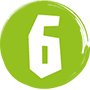 6