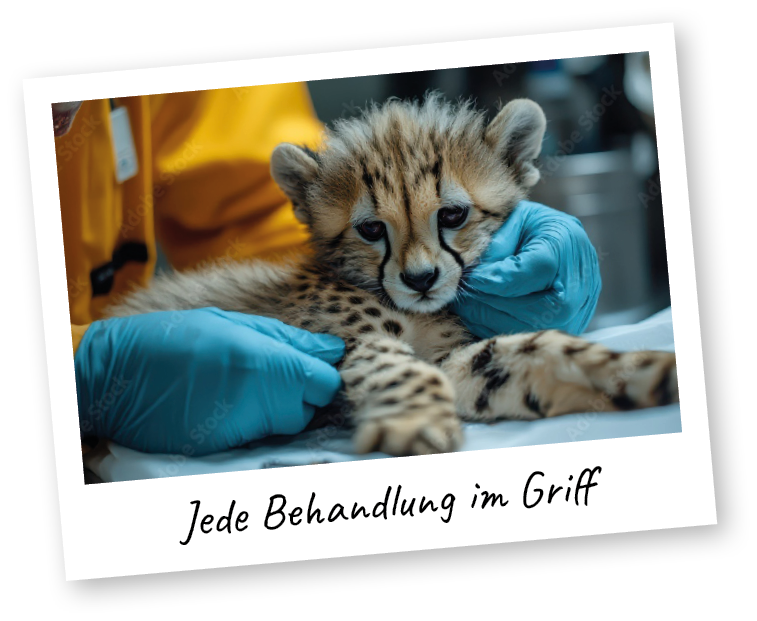 Polaroid mit Geparden-Baby, das von Tierarzt behandelt wird und Aufschrift "Jede Behandlung im Griff"