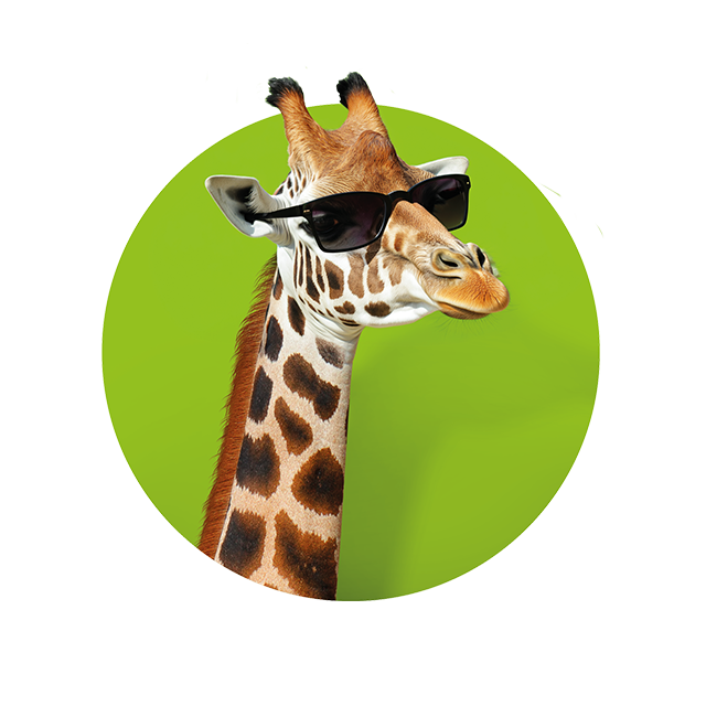 Kopf einer Giraffe, die zur Seite schaut