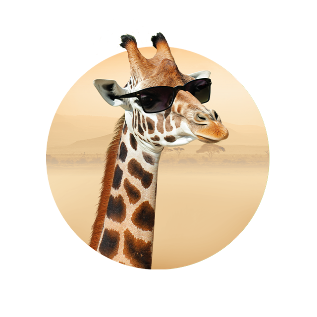 Kopf einer Giraffe, die zur Seite schaut
