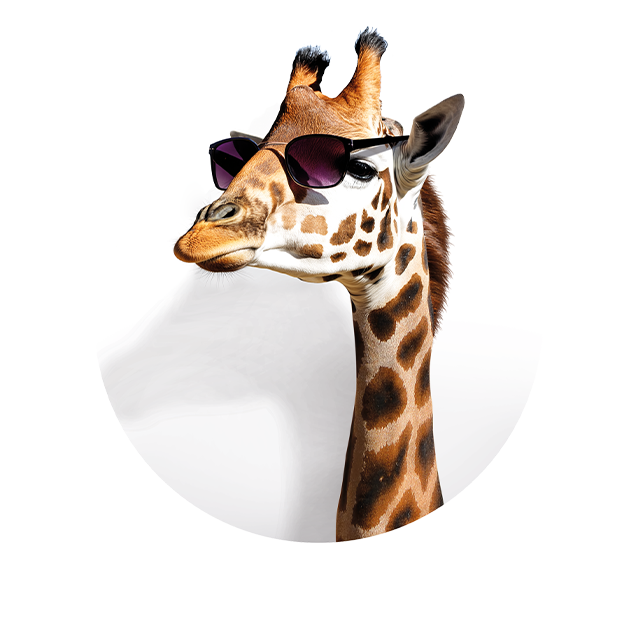 Kopf einer Giraffe, die zur Seite sieht