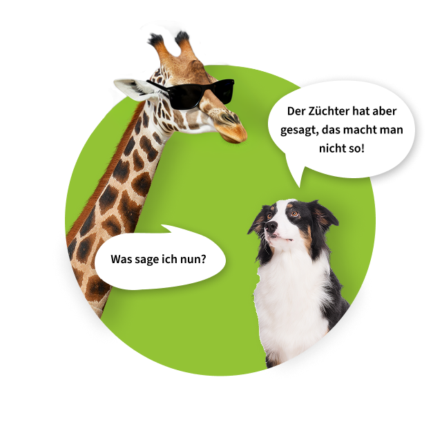 Ein Hund sagt: Der Züchter hat aber gesagt, das macht man nicht so!, die Giraffe antwortet: Verstehe ich. Darf ich erklären, warum wir das empfehlen?