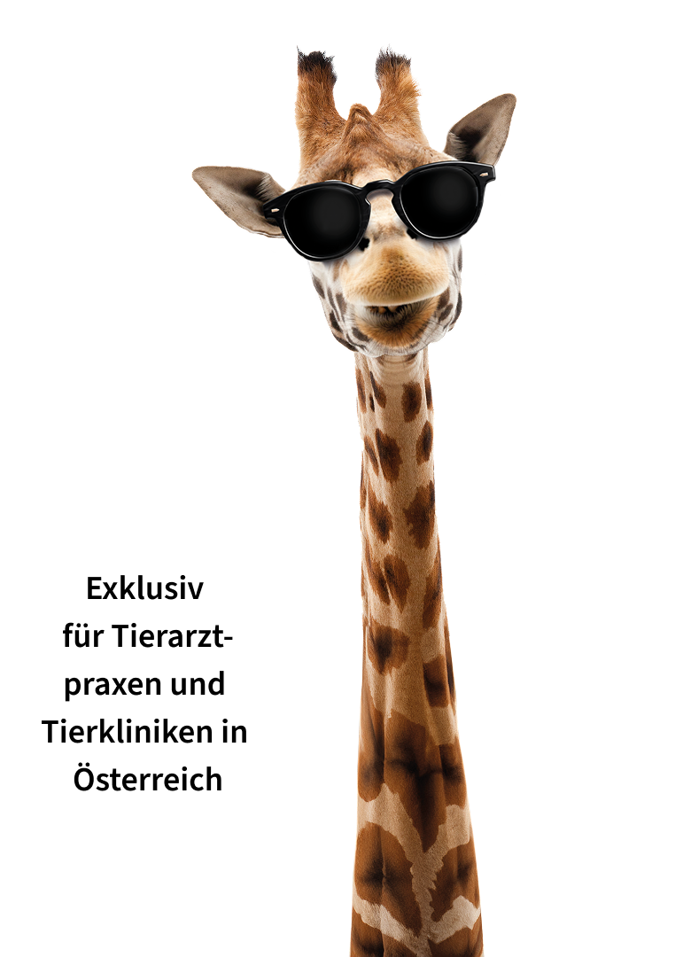 Eine Giraffe und ein Sticker mit der Schrift "Exklusiv für Tierarztpraxen und Tierkliniken in Österreich"