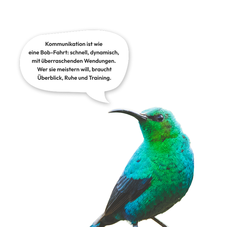Ein Malachit-Nektarvogel sagt: Kommunikation ist wie eine Bob-Fahrt: schnell, dynamisch, mit überraschenden Wendungen. Wer sie meistern will, braucht Überblick, Ruhe und Training.