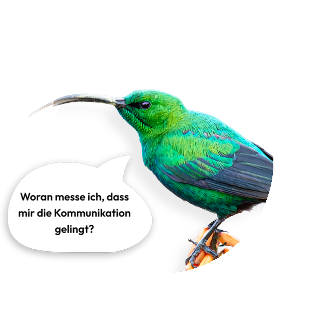Der Vogel sagt: Woran messe ich, dass mir die Kommunikation gelingt?