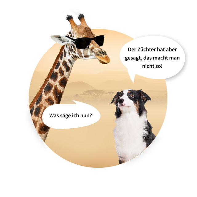 Ein Hund sagt: Der Züchter hat aber gesagt, das macht man nicht so!, die Giraffe antwortet: Verstehe ich. Darf ich erklären, warum wir das empfehlen?