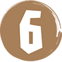 6